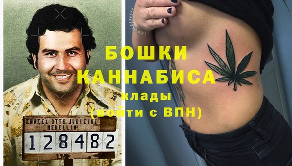 ALPHA-PVP Белокуриха