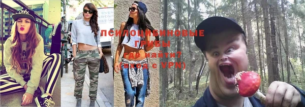 ALPHA-PVP Белокуриха