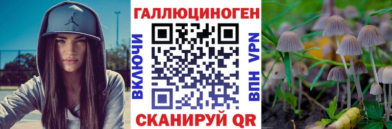 цена   Тюкалинск  hydra ссылка  Галлюциногенные грибы мицелий 